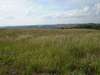 AGRICULTURA
