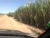 OPORTUNIDADE! FAZENDA PARA AGROPECUÁRIA