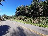 TERRENO AMPLO COM LINDA VISTA PARA O VALE