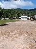 Terreno 700 m² de frente para a Alexandra/ Matinho